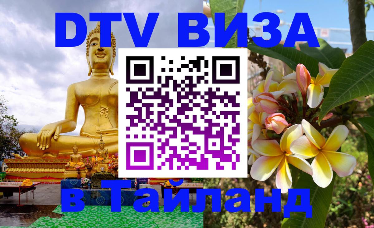 Оформление DTV визы под ключ: стоимость и тарифы, только загранпаспорт - 20.11.2025 